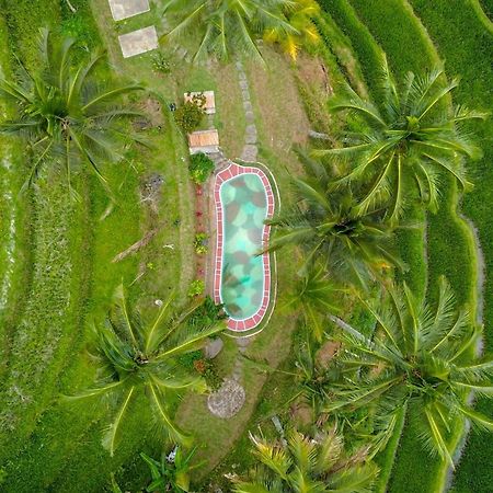 Pesona Bali Ecolodge By Agata จาตีลูวีห์ ภายนอก รูปภาพ