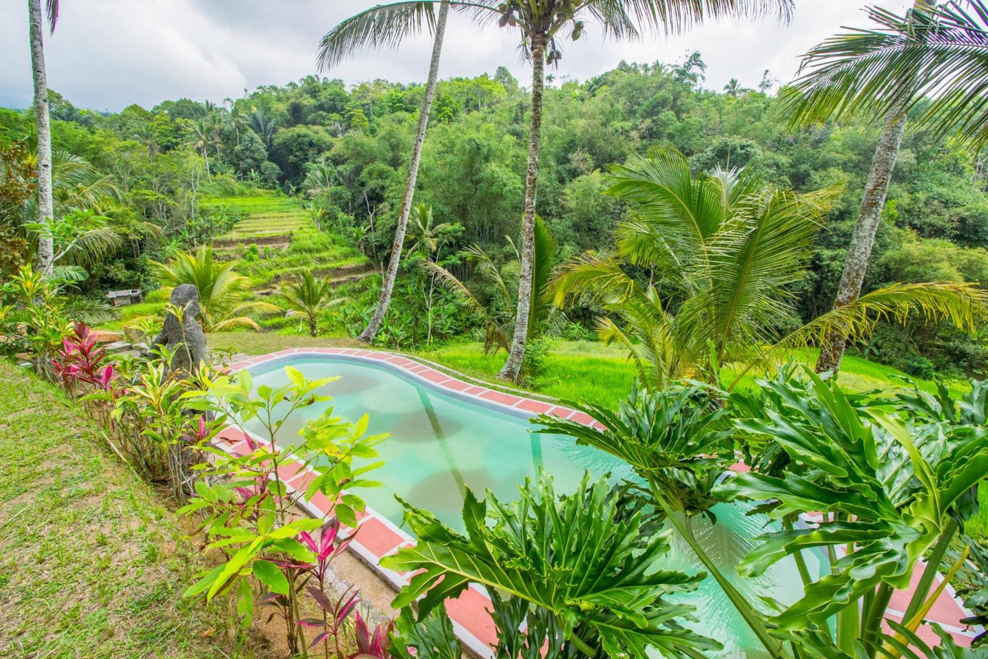 Pesona Bali Ecolodge By Agata จาตีลูวีห์ ภายนอก รูปภาพ