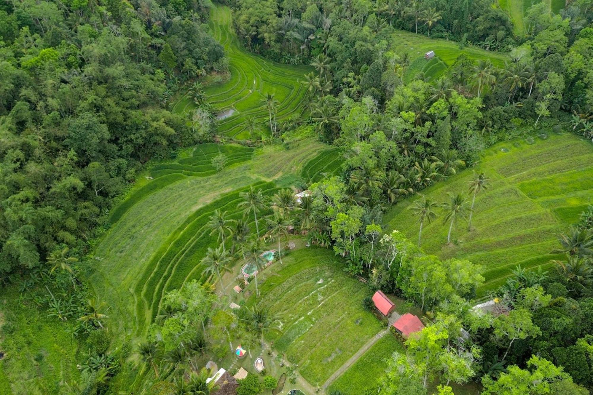 Pesona Bali Ecolodge By Agata จาตีลูวีห์ ภายนอก รูปภาพ