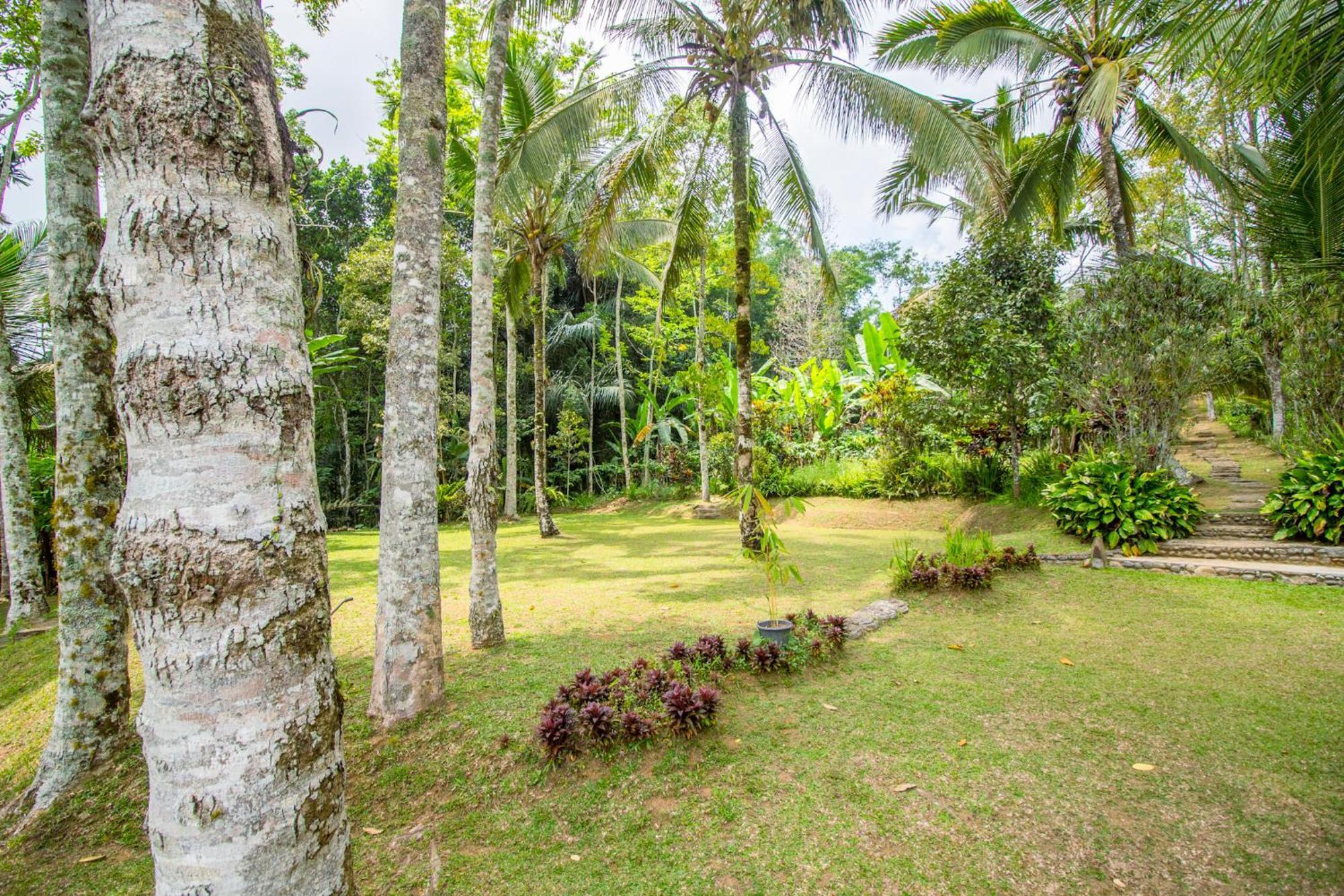 Pesona Bali Ecolodge By Agata จาตีลูวีห์ ภายนอก รูปภาพ