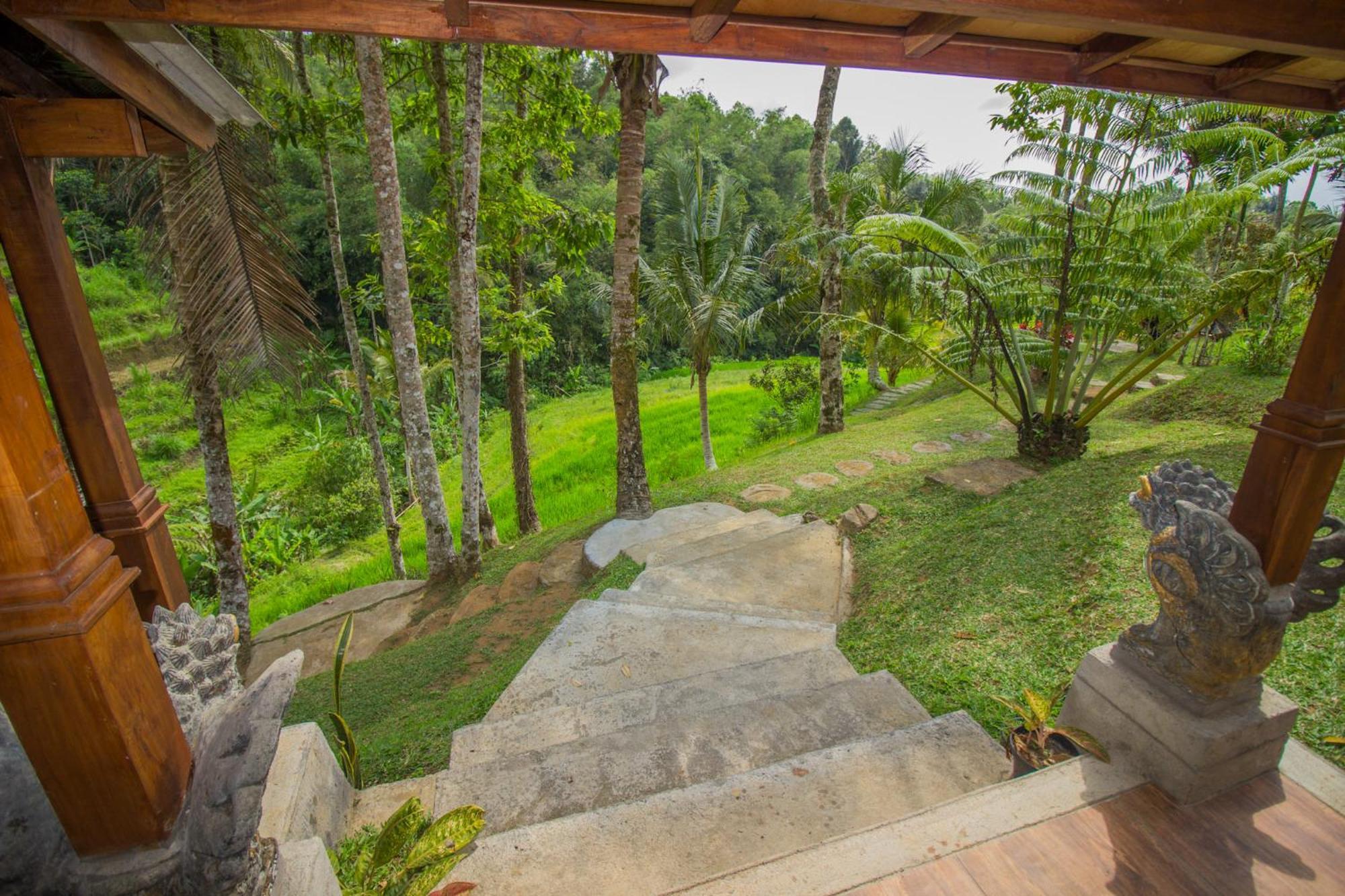 Pesona Bali Ecolodge By Agata จาตีลูวีห์ ภายนอก รูปภาพ