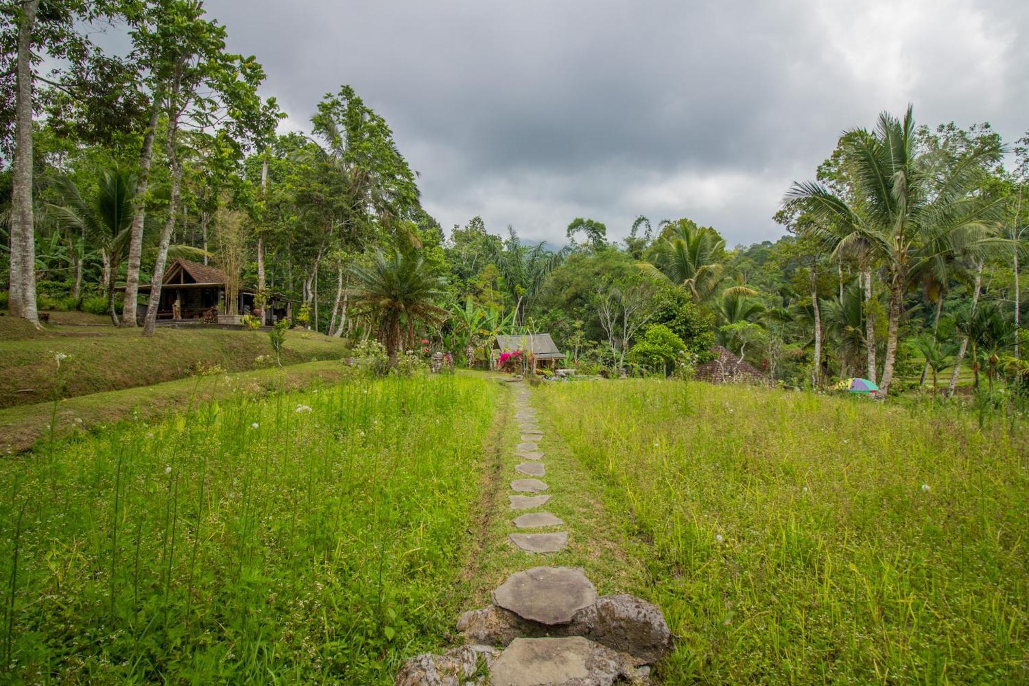 Pesona Bali Ecolodge By Agata จาตีลูวีห์ ภายนอก รูปภาพ