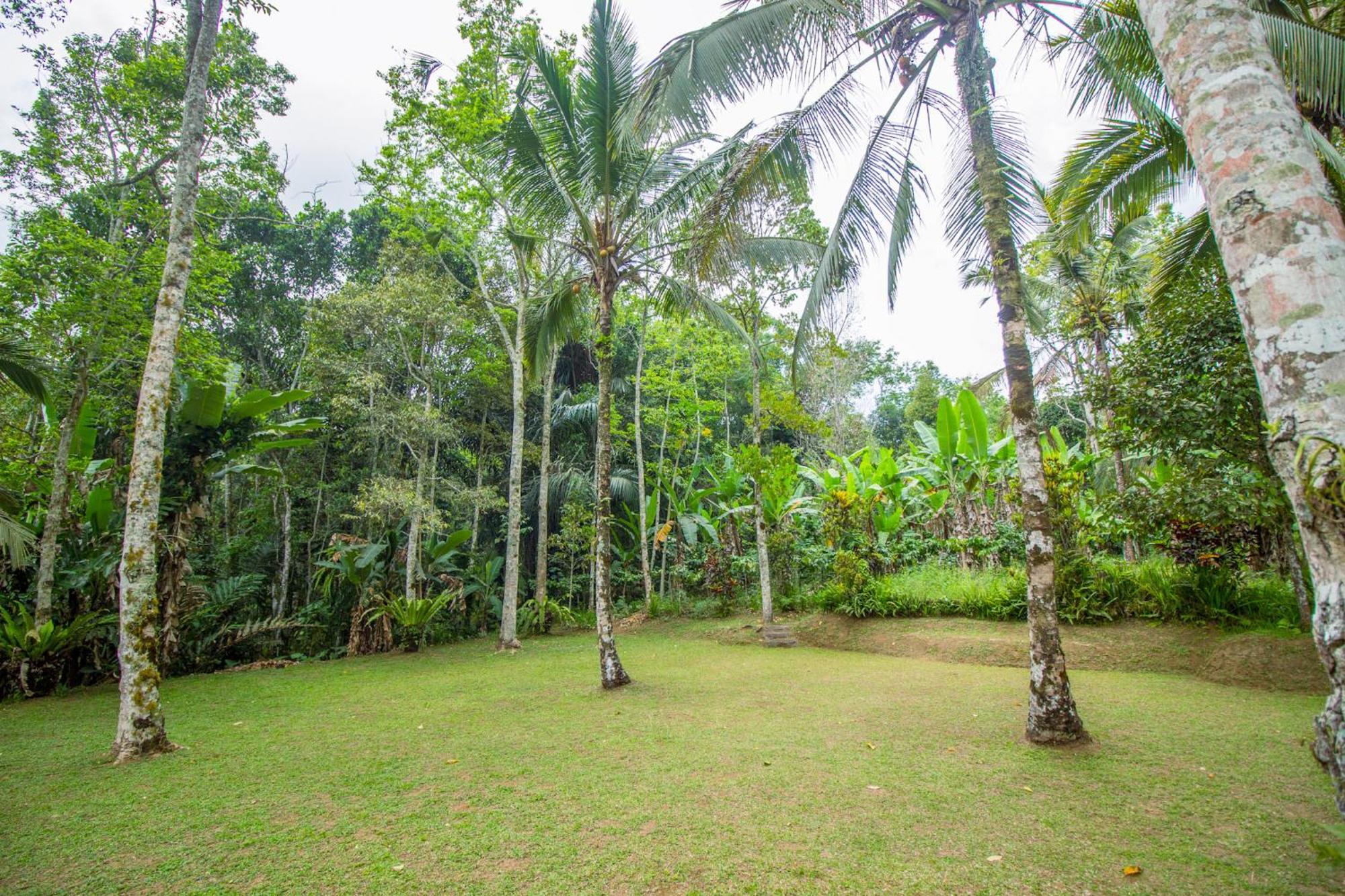 Pesona Bali Ecolodge By Agata จาตีลูวีห์ ภายนอก รูปภาพ